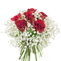 As a dedicated florist in Basildon, few pleasures rival assembling this classic arrangement-a union of deep red roses, their petals opening in perfect, velvety swirls, all encircled by wispy halos of white baby's breath. Each rose, glowing with intensity, becomes a point of focus, while delicate gypsophila spills out in gentle sprays, creating a sense of innocence and elegant poise. The bouquet's structure is deliberately rounded and compact, radiating a feeling of abundance and care that mirrors Basildon's sense of community. From the transparent glass vase, the healthy, green stems form a striking visual backbone, their fresh energy reminiscent of local parks and flower-filled corners such as Northlands Park. Set by a sunlit window or as a centrepiece in a cheerful home, the interplay of crimson and cloud-white invites quiet celebration. Whether chosen for an anniversary, grand romantic gesture, or to mark a special family moment, this design captures the joyful artistry and welcoming warmth that flourish at Flower Delivery Basildon.